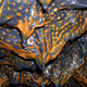 Illustration for article titled Lava Caves Filled with the Most Beautiful Excrement in the World